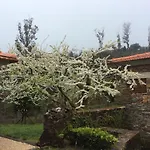 T3 Quinta Da Melroa - Mountain - Caramulo Βίλα *