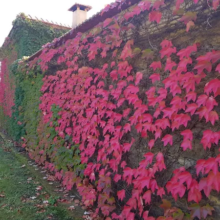 T3 Quinta Da Melroa - Mountain - Caramulo Villa