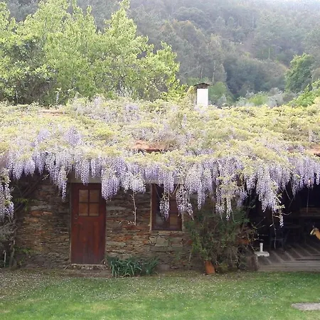 וילה T3 Quinta Da Melroa - Mountain - Caramulo ויסאו