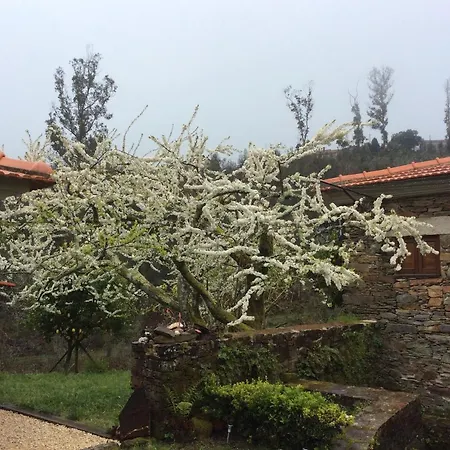 T3 Quinta Da Melroa - Mountain - Caramulo וילה *