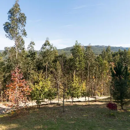 T3 Quinta Da Melroa - Mountain - Caramulo