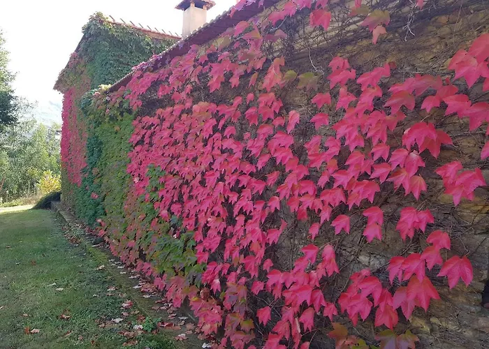T3 Quinta Da Melroa - Mountain - Caramulo וילה