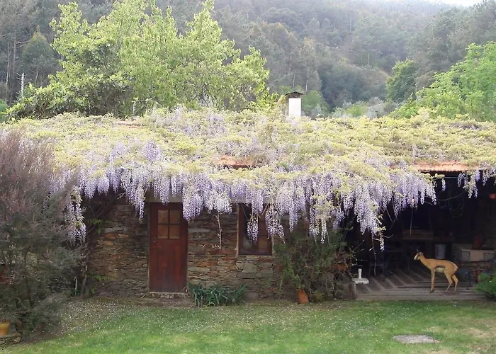 וילה T3 Quinta Da Melroa - Mountain - Caramulo ויסאו