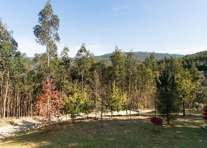 T3 Quinta Da Melroa - Mountain - Caramulo